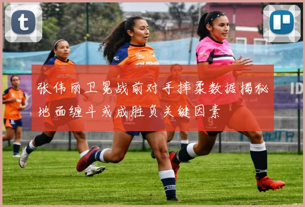 张伟丽卫冕战前对手摔柔数据揭秘地面缠斗或成胜负关键因素