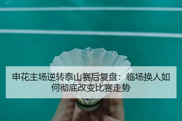 申花主场逆转泰山赛后复盘：临场换人如何彻底改变比赛走势